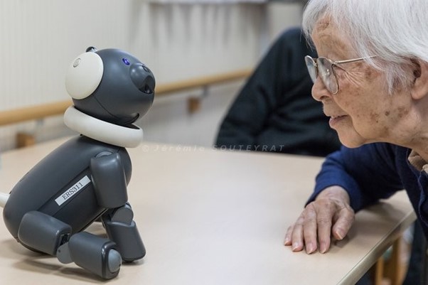 Aibo, the pet robot from Sony