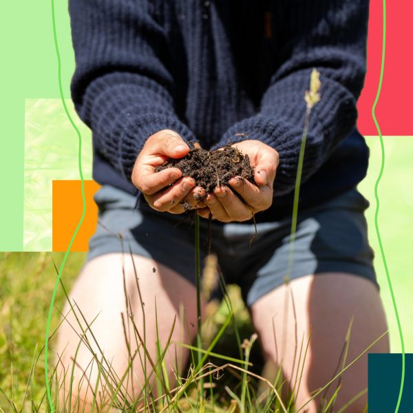 Person in knees with soil in their hands