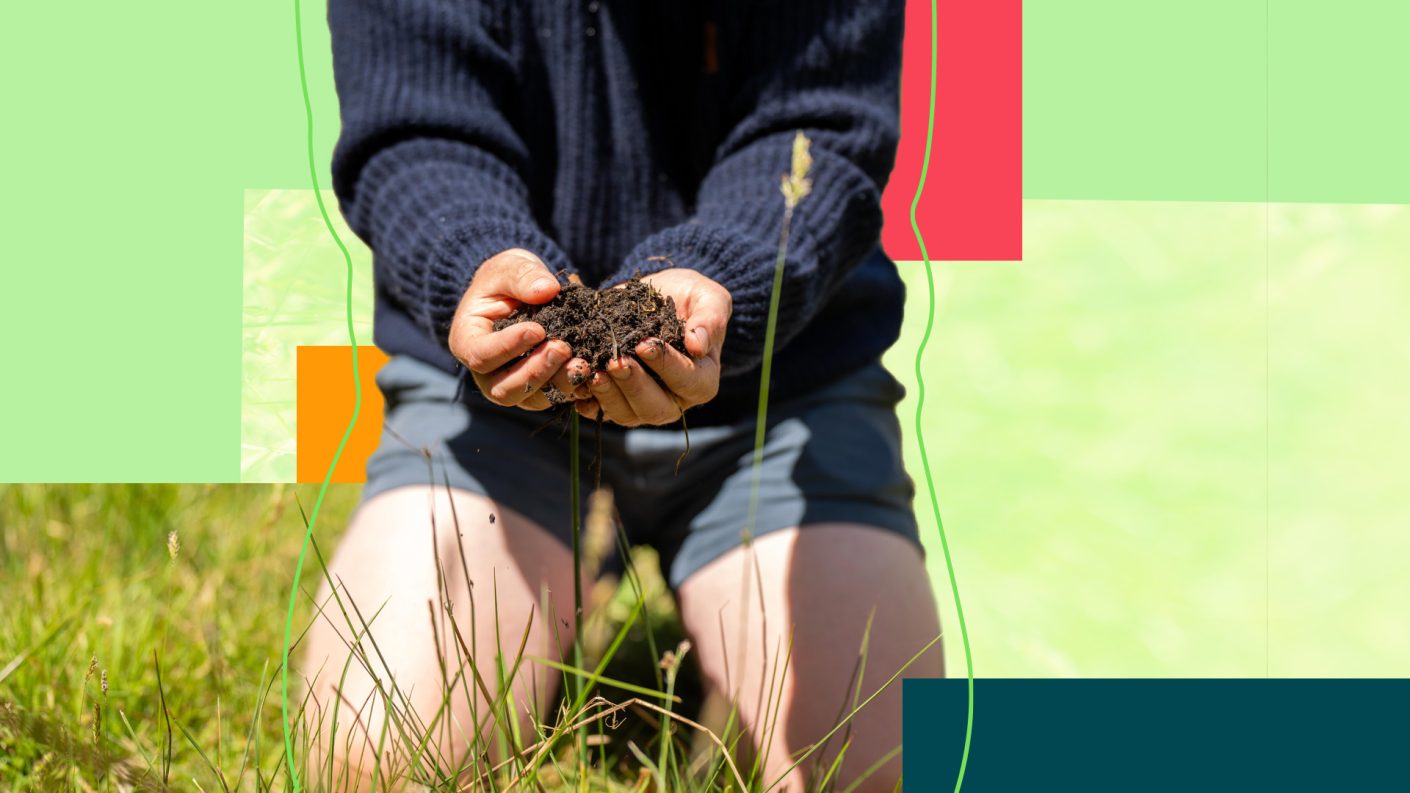 Person in knees with soil in their hands