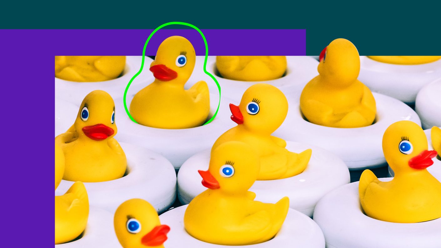 Yellow plastic ducks