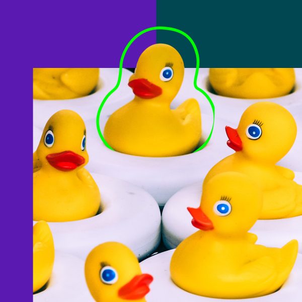 Yellow plastic ducks